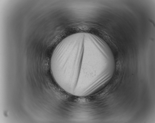 X0000100190464200806201401