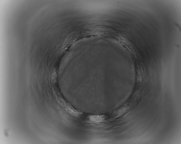 X0000100190465200806201401