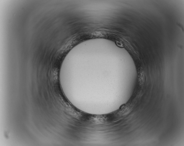 X0000100190466200806201401