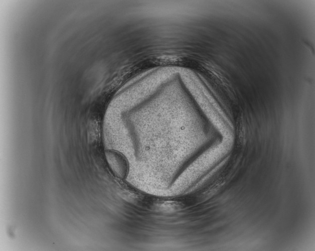 X0000100190467200806201401
