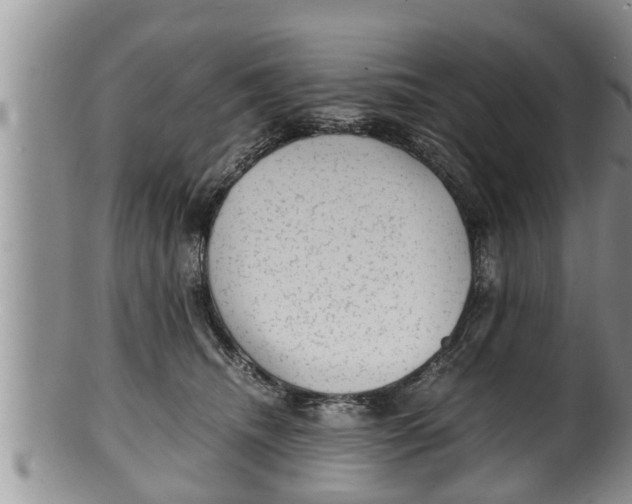X0000100190468200806201402