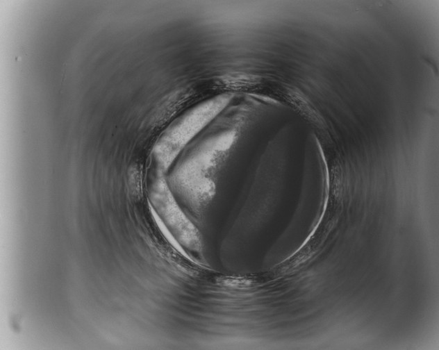 X0000100190471200806201402