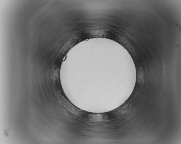X0000100190473200806201402