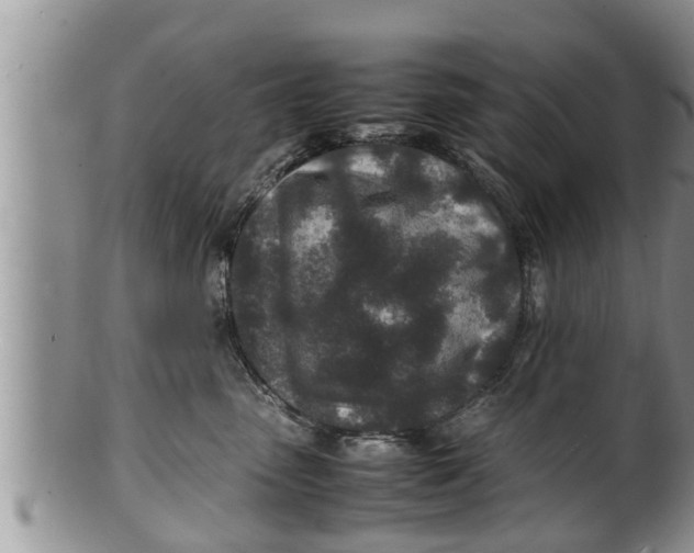 X0000100190475200806201402