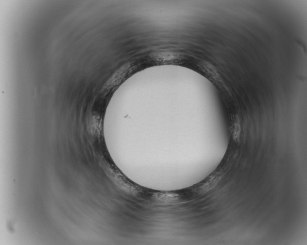 X0000100190476200806201402
