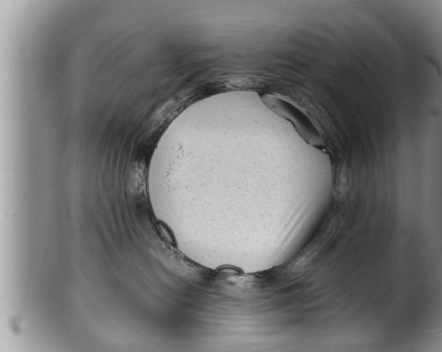 X0000100190478200806201402