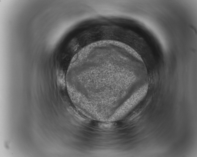 X0000100190479200806201402