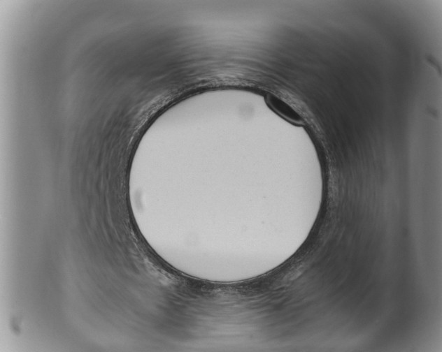 X0000100190481200806201401