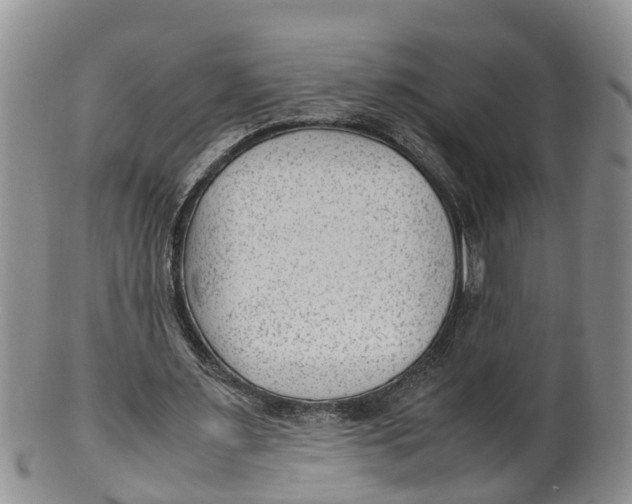 X0000100190483200806201401
