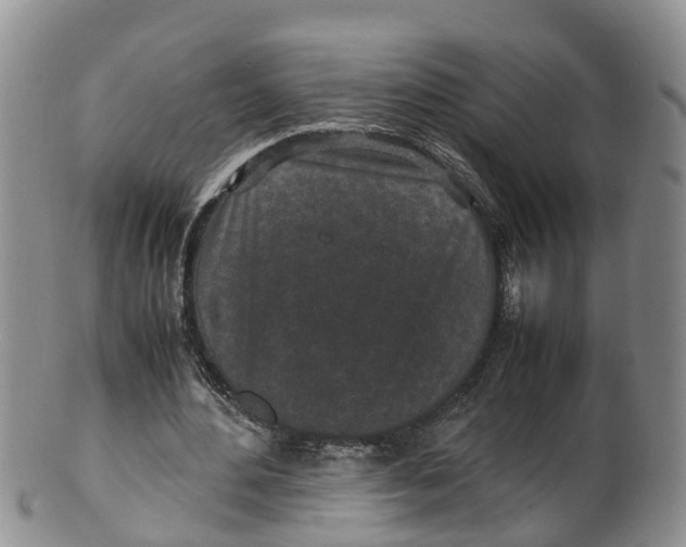 X0000100190484200806201401