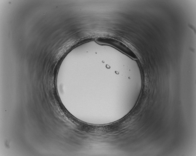 X0000100190485200806201401