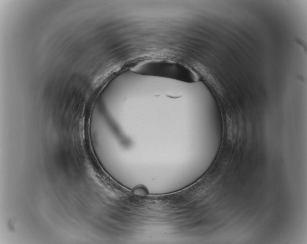 X0000100190486200806201401