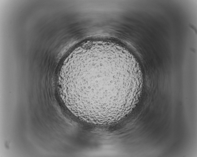 X0000100190487200806201401