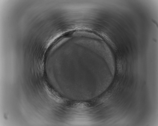 X0000100190488200806201401