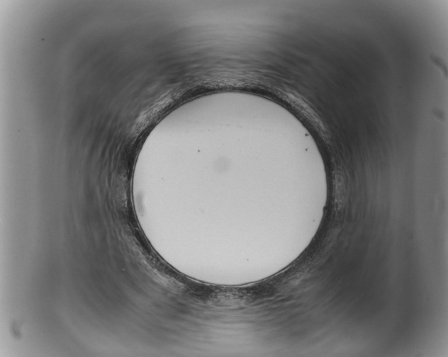 X0000100190489200806201401