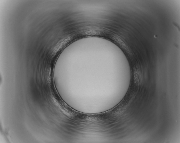 X0000100190490200806201401