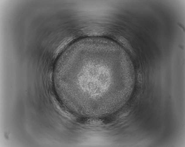 X0000100190491200806201401