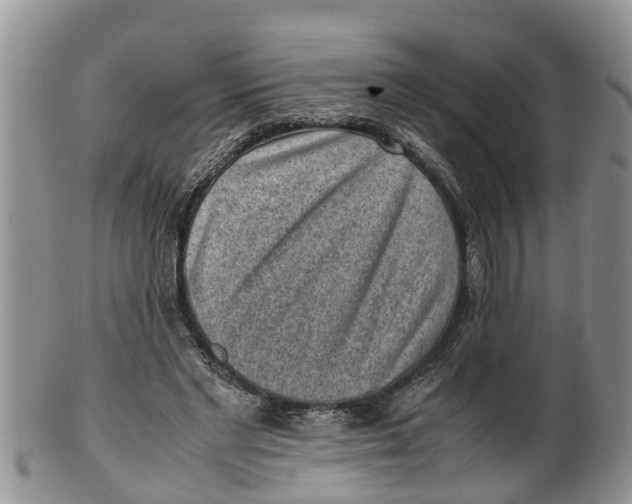 X0000100190493200806201401