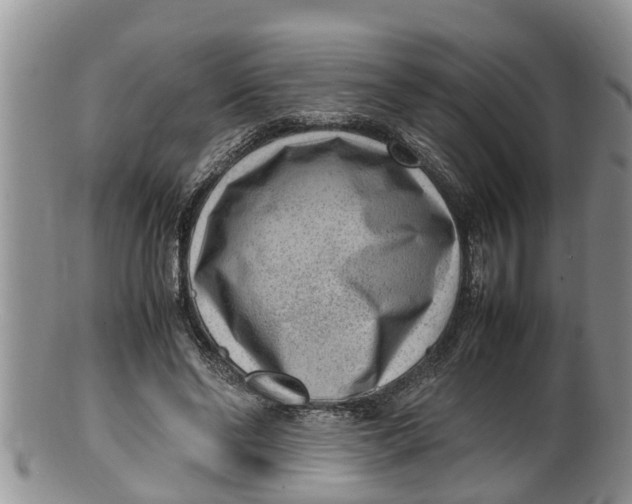 X0000100190494200806201401