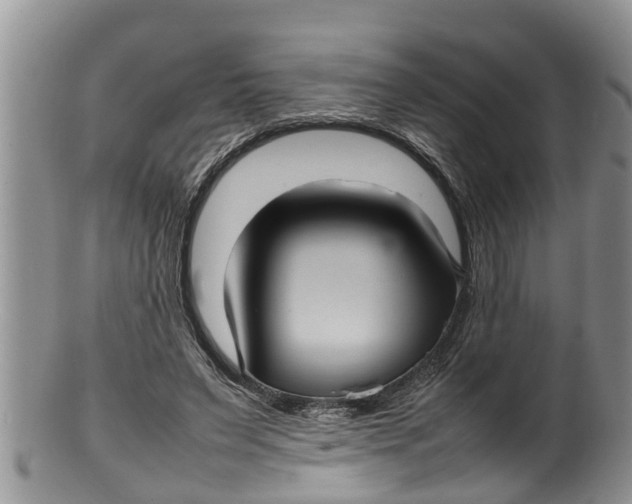 X0000100190495200806201401