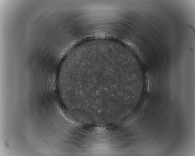 X0000100190496200806201401
