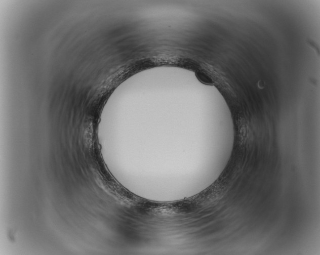 X0000100190498200806201401