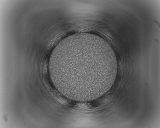 X0000100190499200806201401