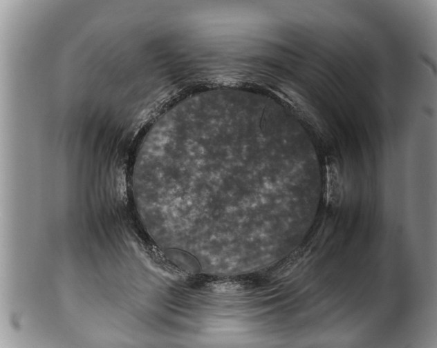 X0000100190500200806201400