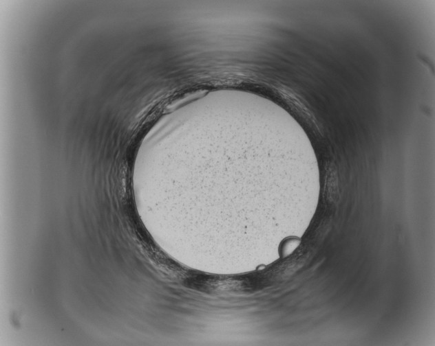 X0000100190501200806201400