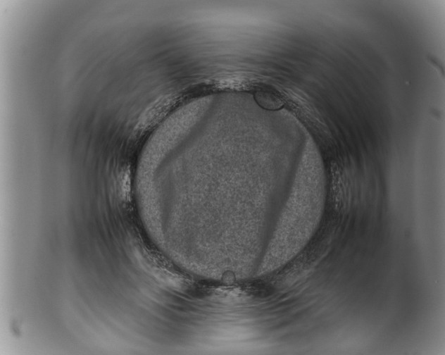X0000100190502200806201400