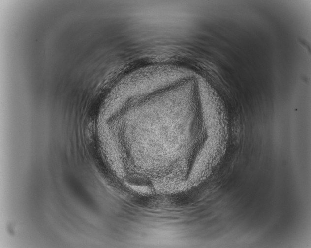 X0000100190503200806201400