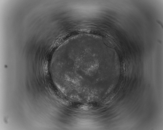 X0000100190504200806201400