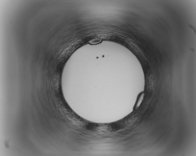 X0000100190505200806201400