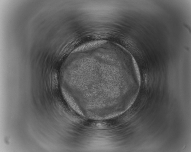 X0000100190506200806201400