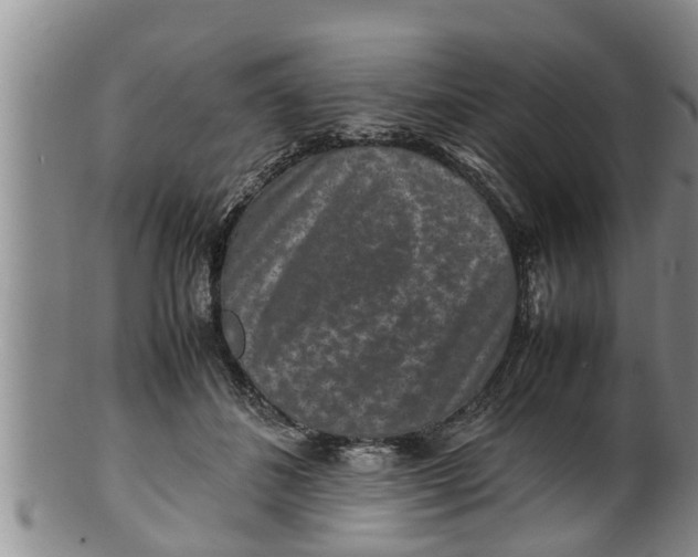 X0000100190508200806201400