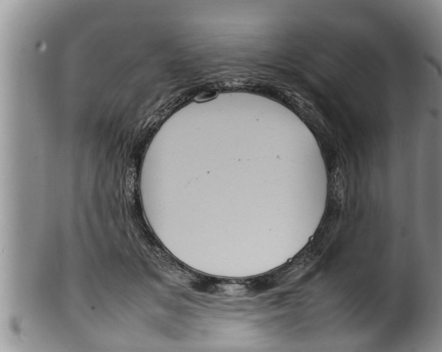 X0000100190509200806201400