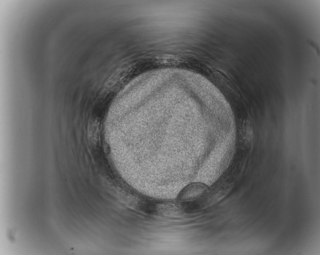 X0000100190511200806201400