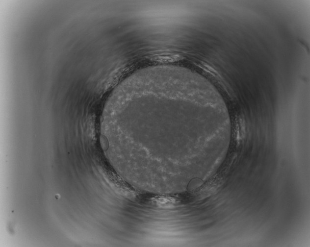 X0000100190512200806201400