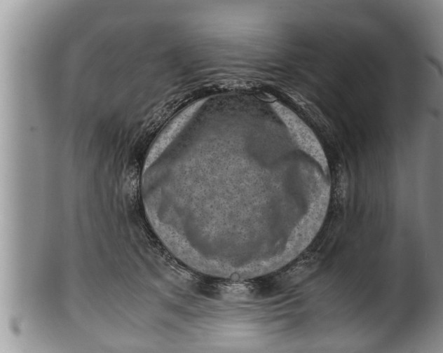 X0000100190513200806201400