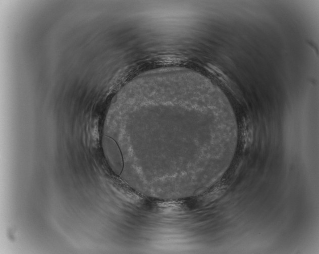 X0000100190516200806201400