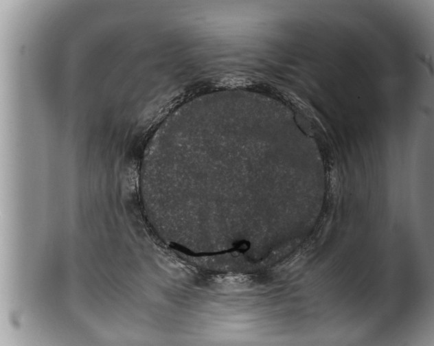 X0000100190517200806201400
