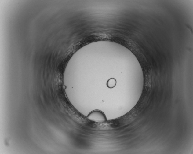 X0000100190518200806201400