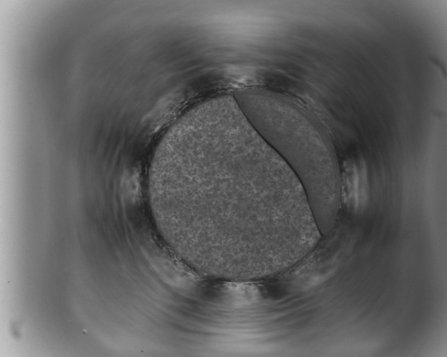 X0000100190520200806201400