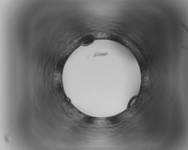 X0000100190521200806201400