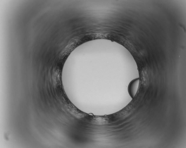 X0000100190522200806201400