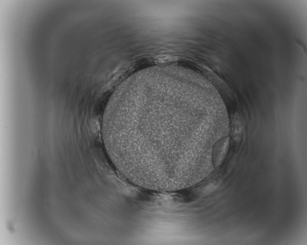 X0000100190523200806201400
