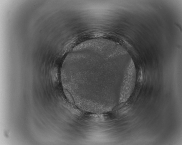 X0000100190524200806201400