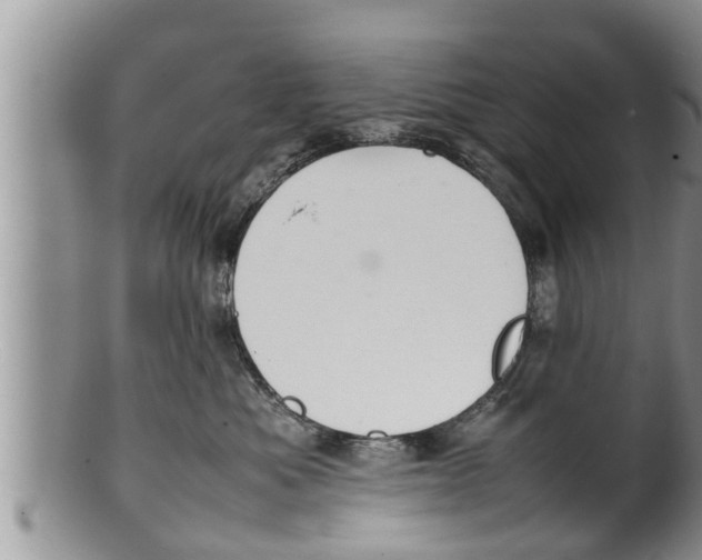 X0000100190525200806201400