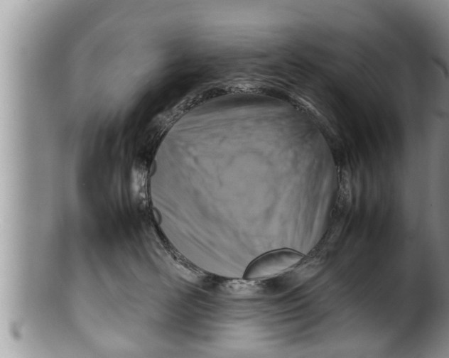 X0000100190526200806201400