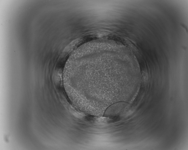 X0000100190527200806201400